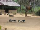 Playground in Nigeria